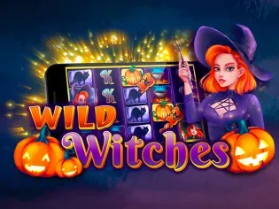 Wild Witches screenshot